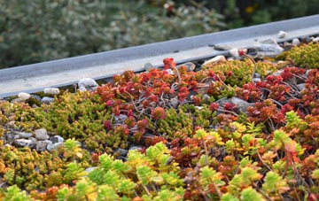 the cost of Knighton green roof installation