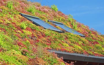 Knighton living roof systems
