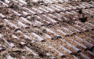 Knighton roof cleaning companies